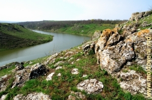 Раковэцкое водохранилище между селами Брынзень и Корпачь, Единец