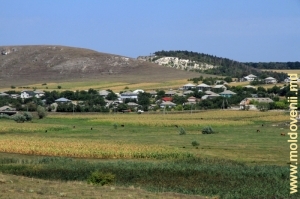 Valea rîului Draghişte între satul Feteşti şi Defileului Burlăneşti