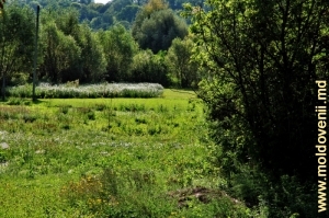 Приток Чухура – Чухурец (Чухурел) и его долина у села Михэлэшень, Окница