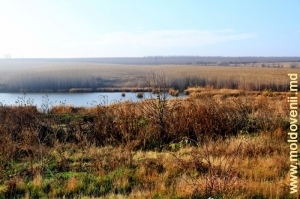 Водохранилище на реке Кушмирке вблизи села Ципордей