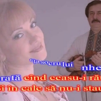 Адриана Окишану - Mustața socrului meu