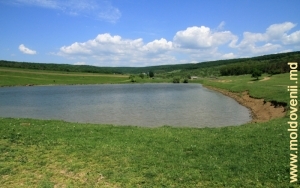 Lac în drumul de la mănăstirea Ţigăneşti spre satul Oneşti, Străşeni