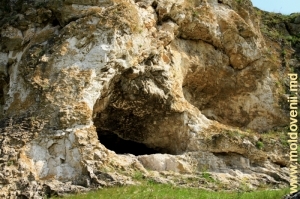Peşteră din neolitic încorporată în Reciful Buteşti, vedere dinafară