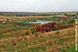 Valea rîului Camenca la vest de satul Balanul Nou