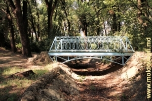 Pod peste canalColţişor al parcului