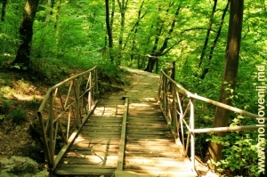 Деревянный мостик в ущелье