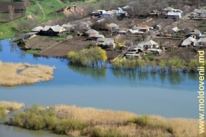 Днестр у села Ципова, Резина. Вид на левый берег. Апрель, 2013 г.