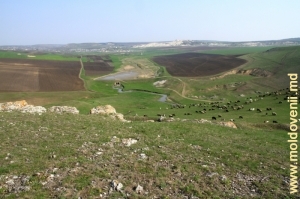 Долина реки Драгиште между селами Фетешть и Бурлэнешть, апрель 2013 