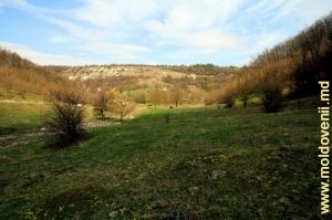 Vedere din valea pîrîului spre partea de jos a satului Naslavcea, de-a lungul rîului Cosărău