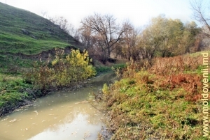 Река Кушмирка вблизи устья в селе Климэуций де Жос