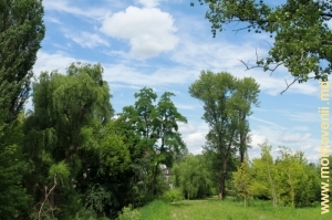 O parte din parcul Valea Morilor, vara anului 2011