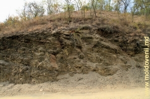 Обнажения глинистых сланцев в селе Наславча