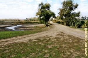 Плавни и часть спущенного водохранилища между селами Кукуеций Ной и Каменка