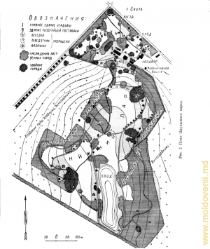 Planul schematic al parcului Ţaul (din cartea lui P. Leontiev „Parcurile Moldovei”)