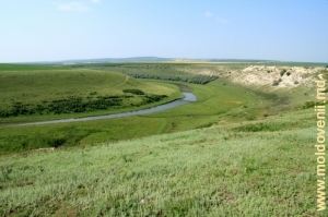 Valea rîului Răut lîngă satul Rogojeni, Şoldăneşti