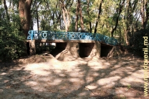 Pod pitoresc din adîncul parcului