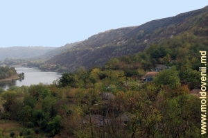 Vedere spre Nistru şi malul abrupt-rezervaţie de deasupra sa din satul Naslavcea