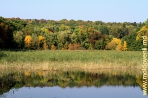 Озеро в парке Цауль, Дондюшень