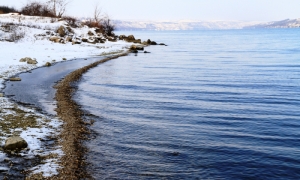 На берегу Дубоссарского водохранилища в зимний день, ближний план
