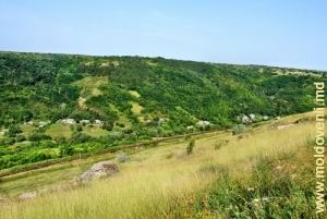Вид на долину реки Косарэу со склона над железной дорогой