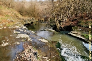 Водопады и омут Лидии (Groapa Lidiei) на дне ущелья над рекой Кушмиркой
