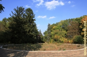 Центральная клумба в приусадебном парке Цауль, Дондюшень