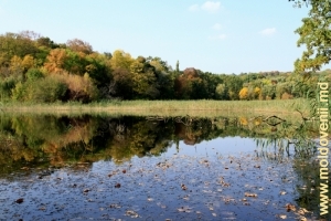 Озеро в парке Цауль, Дондюшень