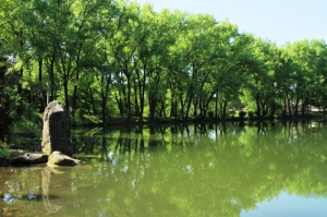Lacul din parc, mai 2011