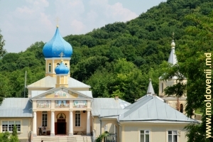 Купола церквей монастыря