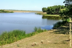 Водохранилища на Раковце в селе Хэдэрэуць, Окница