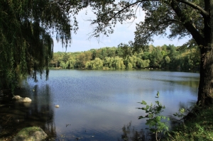 Vedere spre unul dintre lacurile parcului
