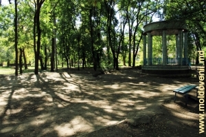 O parte a parcului de lîngă rotondă