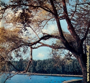 Parcul Valea Morilor în anii '70-'80 sec. XX 