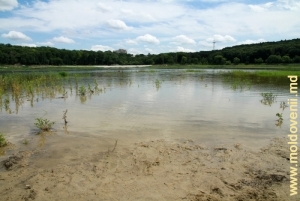 Umplerea lacului, vara anului 2011