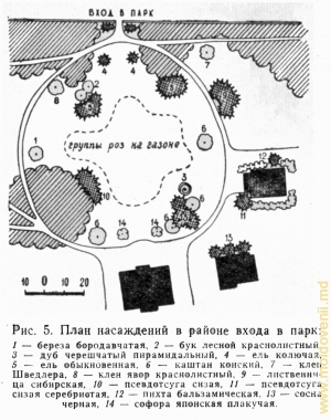Planul-schemă al parcului conacului (din cartea lui P. Leontiev „Parcurile Moldovei”)