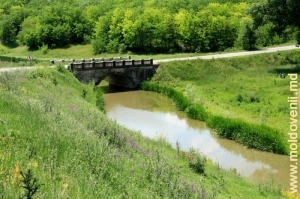 Мост через Драгиште на дороге между селами Бэдраджий Векь и Брынзень 