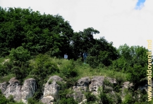 Masivul de toltre deasupra mănăstirii Calaraşovca, prim-plan