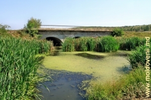 Мост над Раковцом в селе Мэркэуць, Бричень