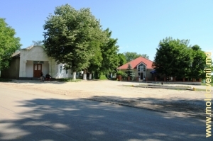 Satul Iargara, raionul Leova