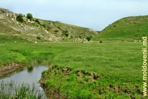 Долина реки Каменка между селами Бутешть и Кобань, Глодень