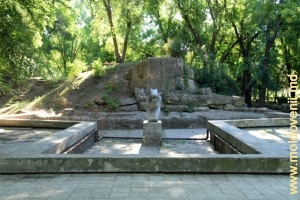 Bazinul şi sculptura „Setea”