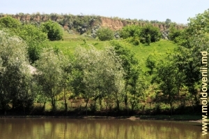 Озеро и старый берег Прута над ним в селе Прутень