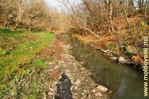 Валуны и перекаты на реке Кушмирке в ущелье