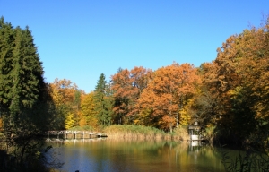 Lac şi pădure satul Sadova, Călăraşi