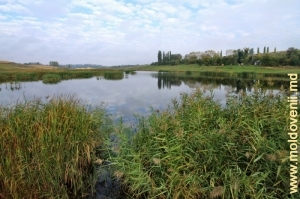 Водохранилище на реке Каменка в селе Стурзень, Рышкань
