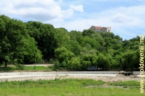 Vedere spre bazinul de sedimentare şi intrarea spre scara principală a parcului, vara anului 2011