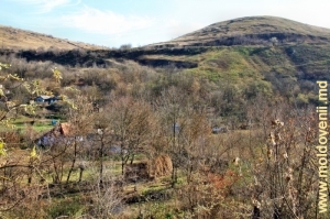 Vedere din valea rîului spre panta dreaptă cu calea ferată pe ea