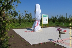 Площадка памятника перед церемонией открытия