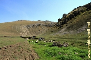 Valea rîului Draghişte între satul Feteşti şi defileul Burlăneşti