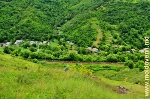 Vedere spre valea rîului Cosărău de pe panta de sus de calea ferată